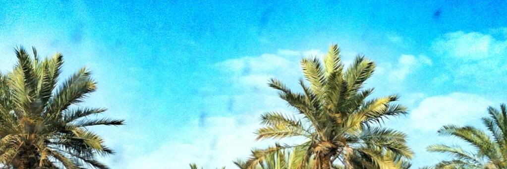 9trok's profile banner image