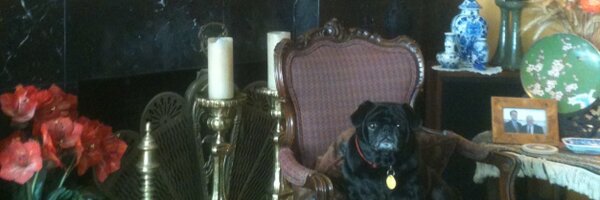 MnkyCult Profile Banner