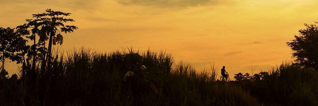 bonsky123's profile banner image