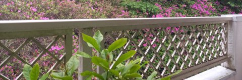 kodomo's profile banner image