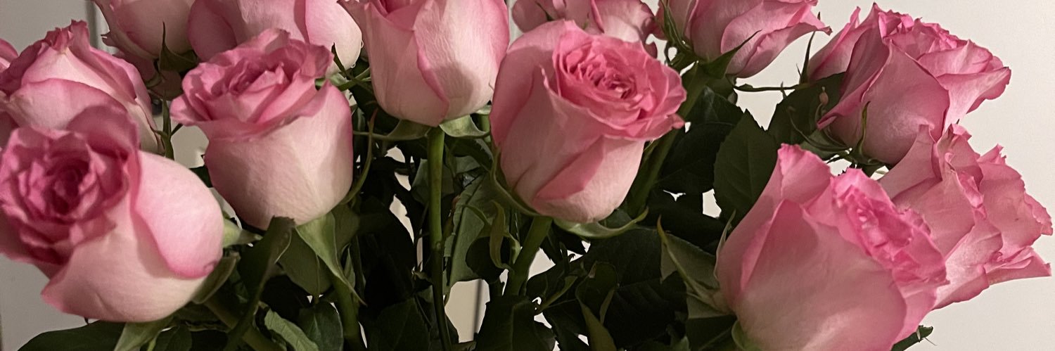 dianaxrodr's profile banner image