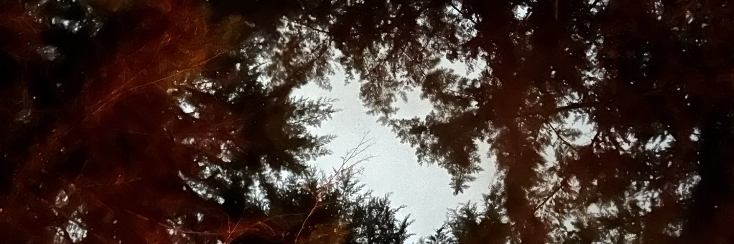 ancnike's profile banner image