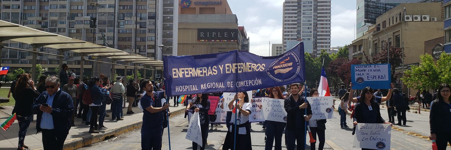 ASENF Concepción banner