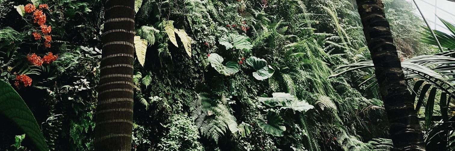 avsychr's profile banner image