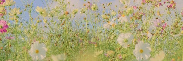 wdsr__'s profile banner image