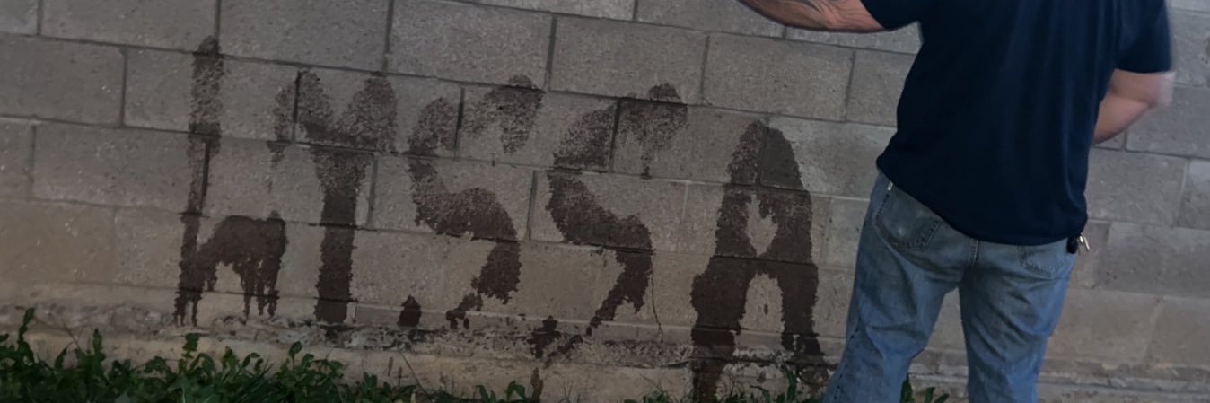 allyssadenae's profile banner image