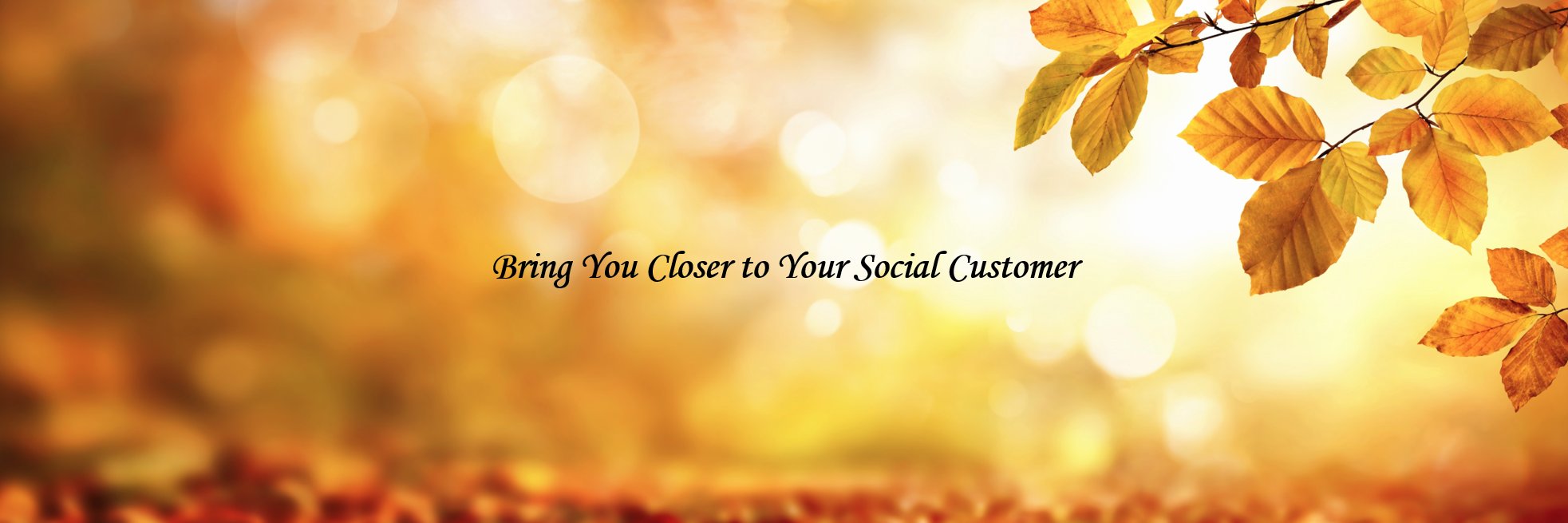 dmktginsight's profile banner image
