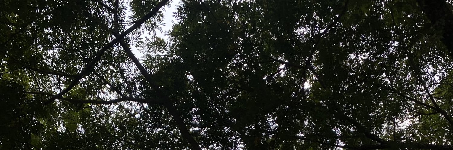 beenwelife's profile banner image