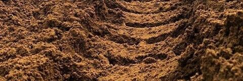DenBaguseYoga's profile banner image