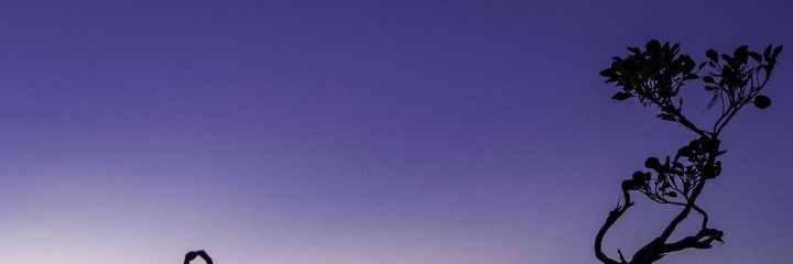 jun_awankinton's profile banner image