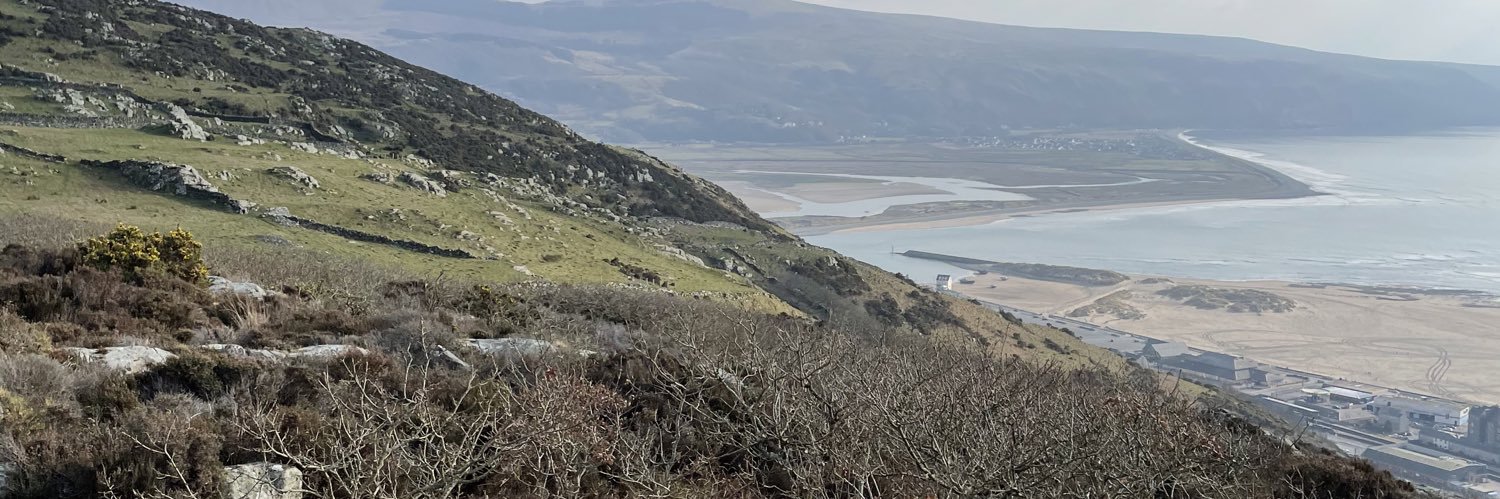 NPigdon's profile banner image
