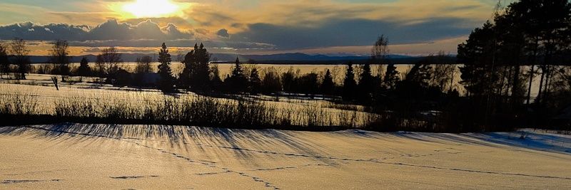 ibradshaw's profile banner image