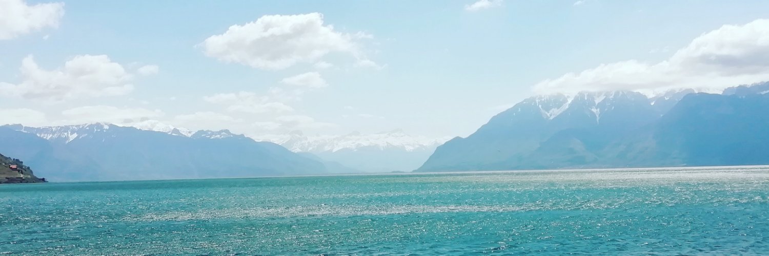 nmdoane's profile banner image