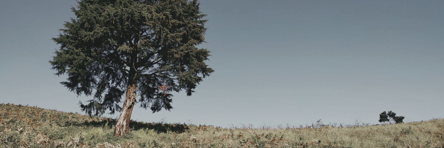 danzud's profile banner image