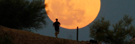 Timo O. Korhonen banner