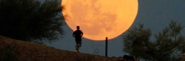 EU_Precious Profile Banner