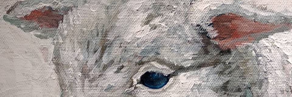 ctrakharisma's profile banner image
