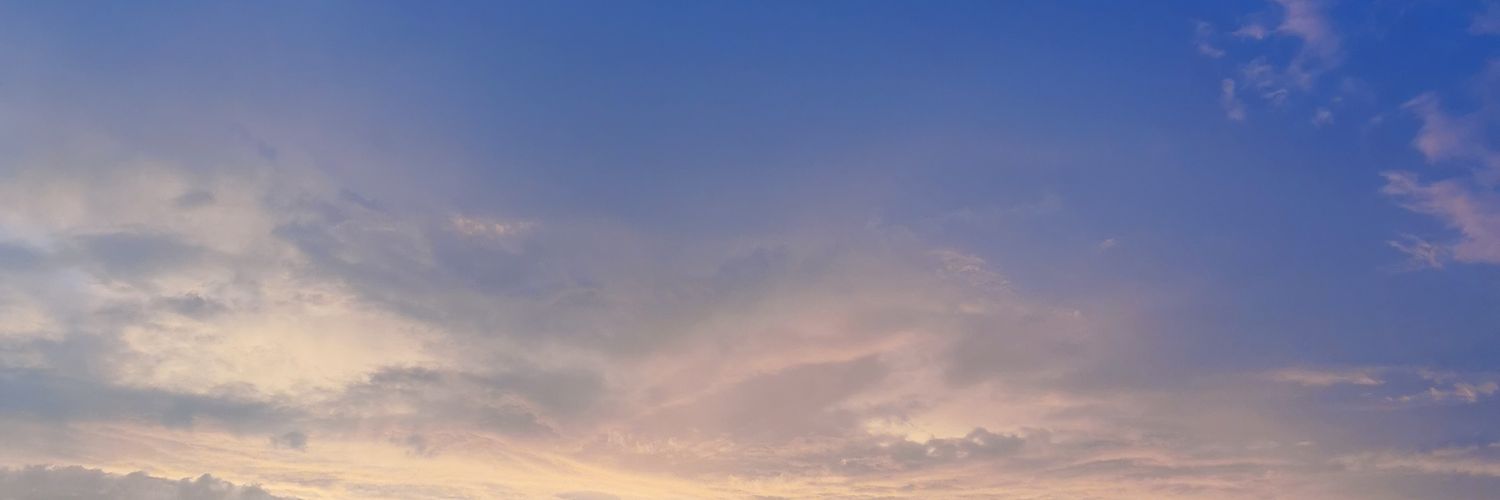 LEXU_CON's profile banner image