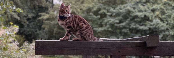 JimmyRittenborg Profile Banner