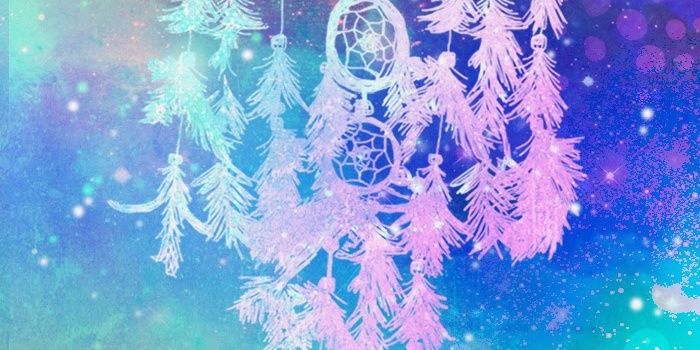 nancychiarouven's profile banner image