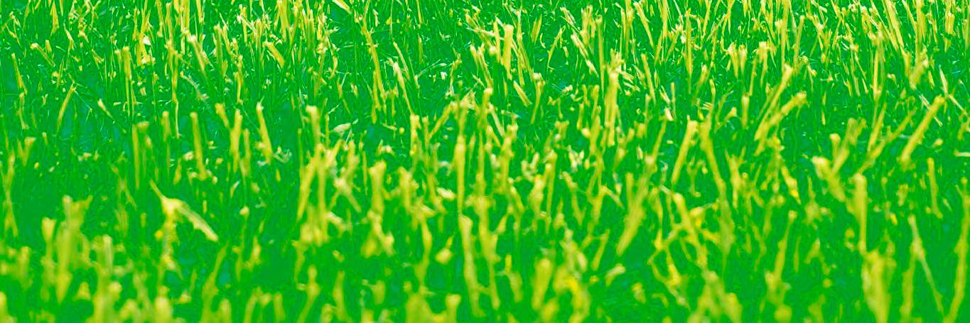 RevistaChe's profile banner image