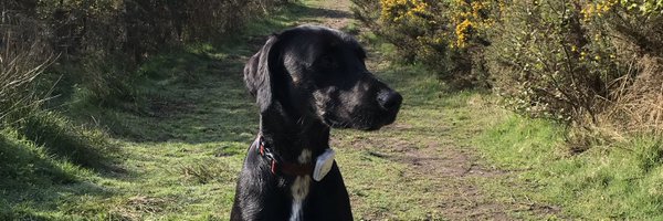 pennock66 Profile Banner