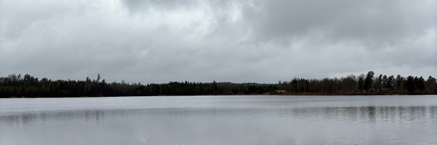 David Thomas Nilsson banner