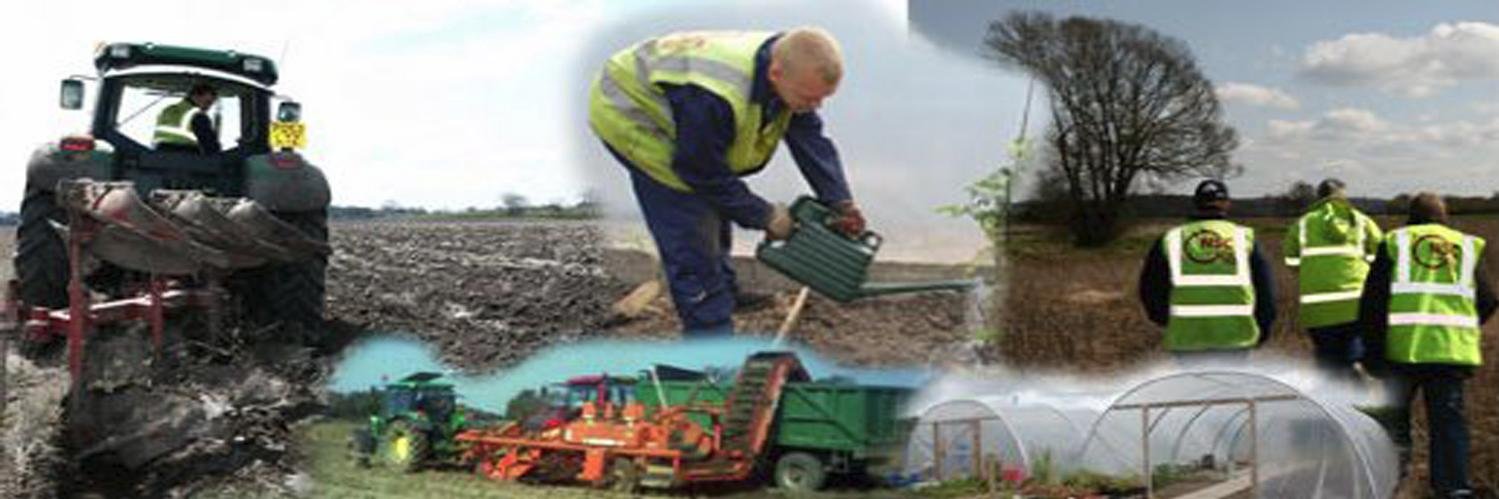 LarkinsFarm's profile banner image