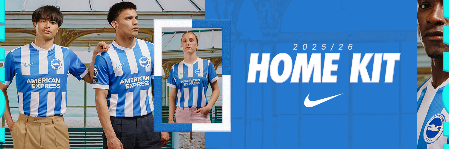 Brighton & Hove Albion's banner