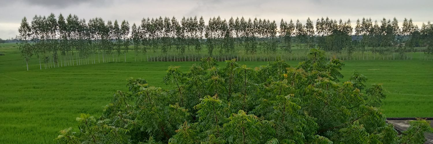Anooppatel5's profile banner image