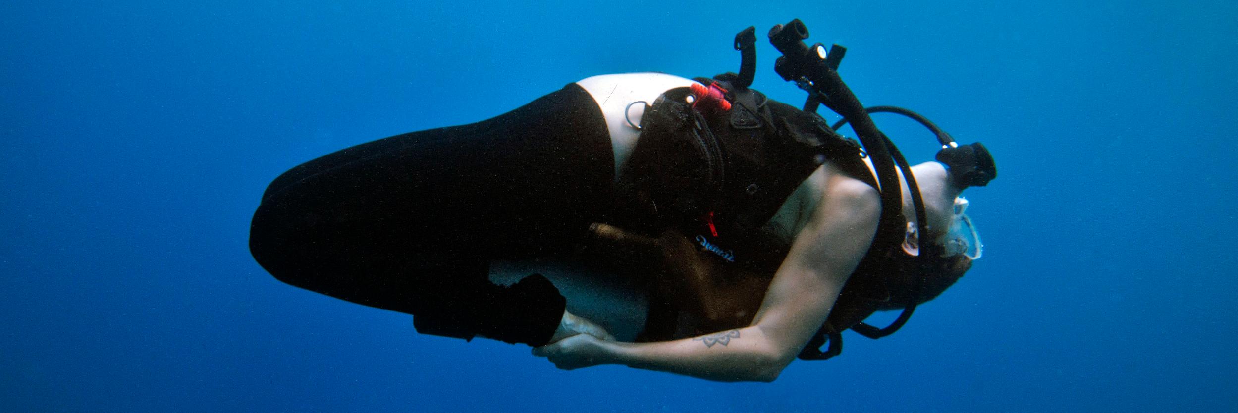 Zen Dive Bali banner