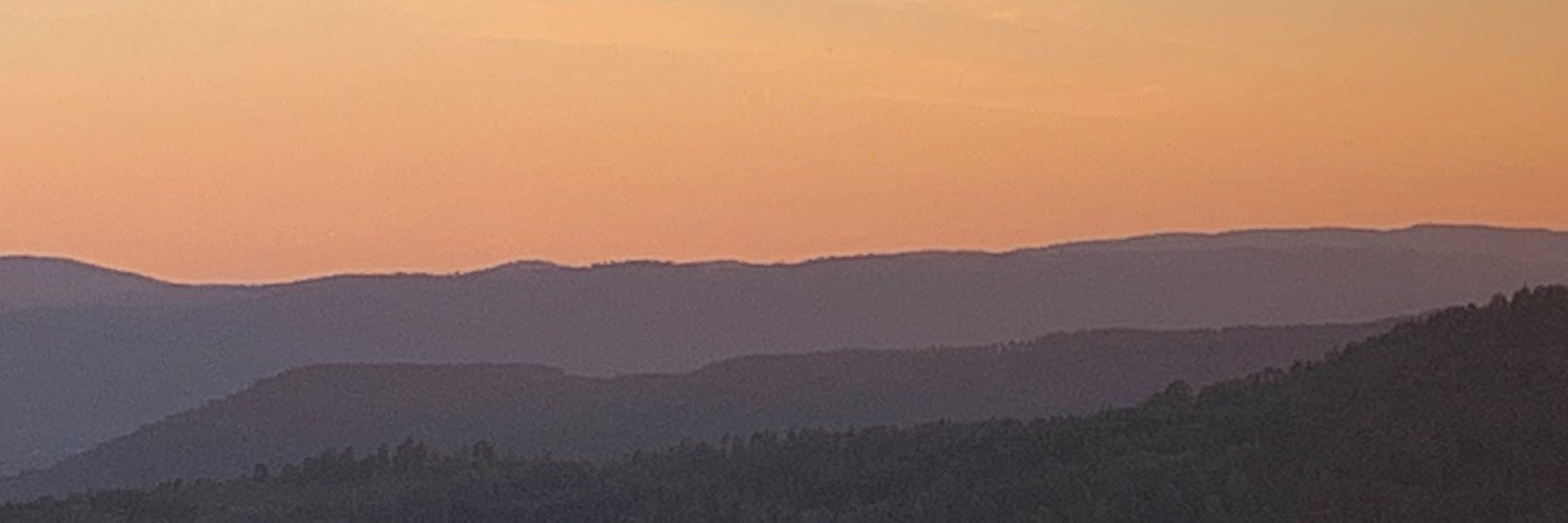 Ingebjørg L Kyrdalen banner