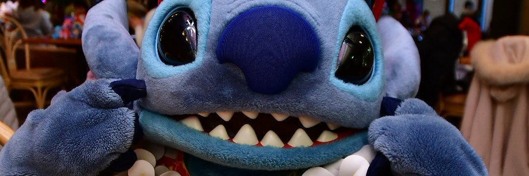 YOSHI banner