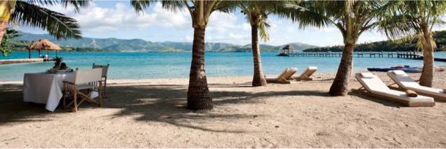 DolphinFiji's profile banner image