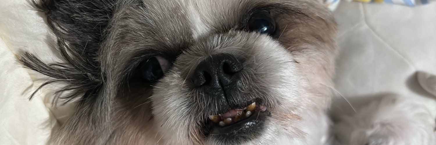 jelaycastroo's profile banner image