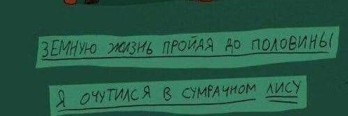 Veronika Sinekopova banner