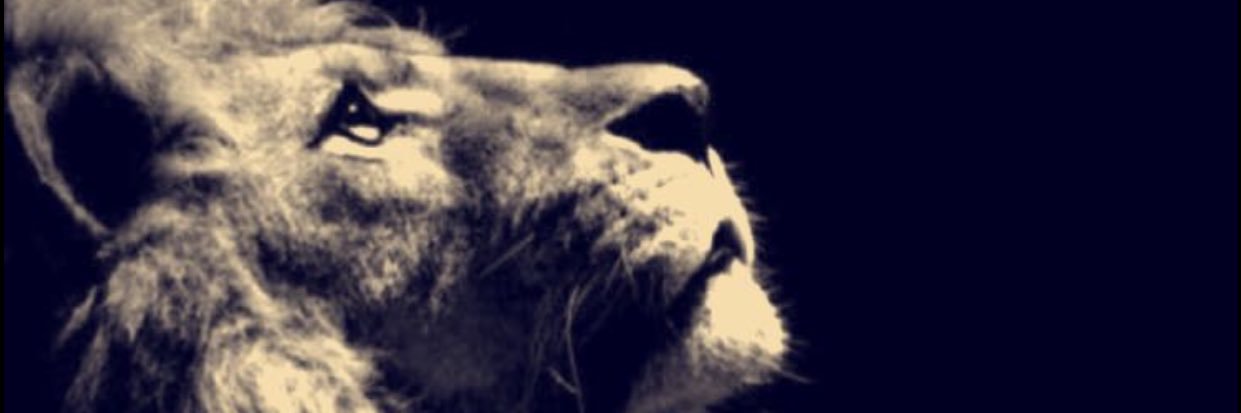 fawzicali's profile banner image