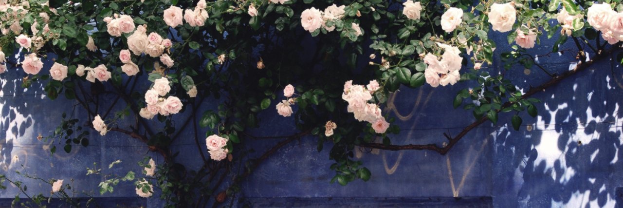 dobrevajensen's profile banner image