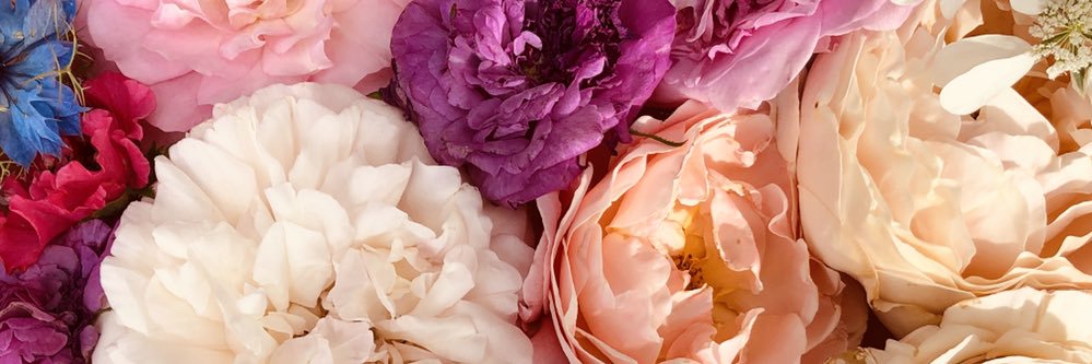 ymami37's profile banner image