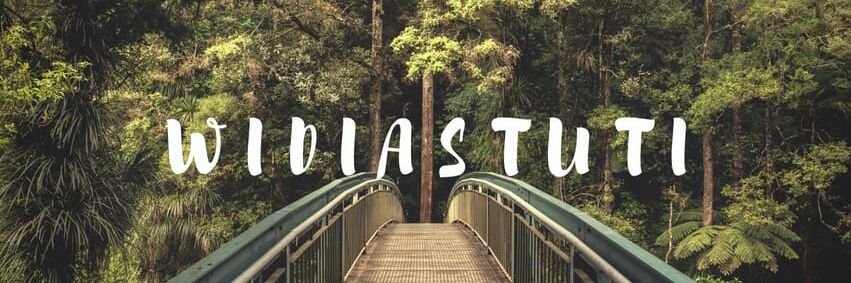 WidiAdlshf's profile banner image