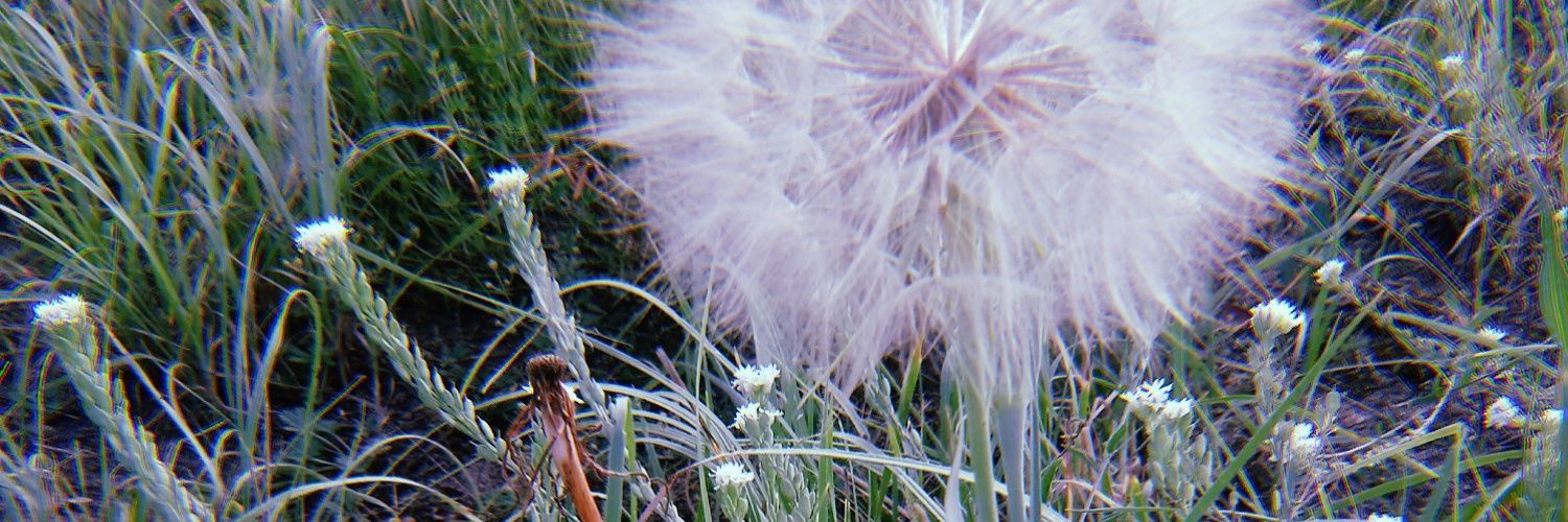 __heartshaped__'s profile banner image