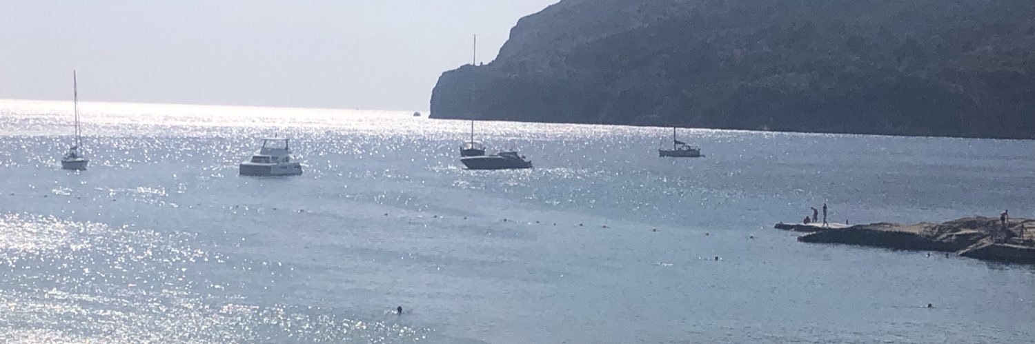 Dawn Ellen Temple banner