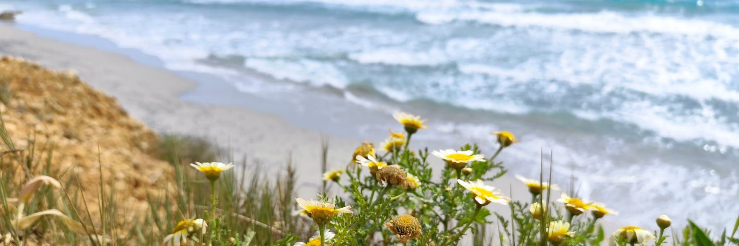 Llorenç Allès banner