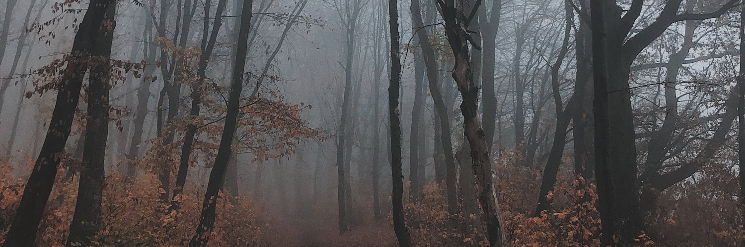 _without_a_past's profile banner image