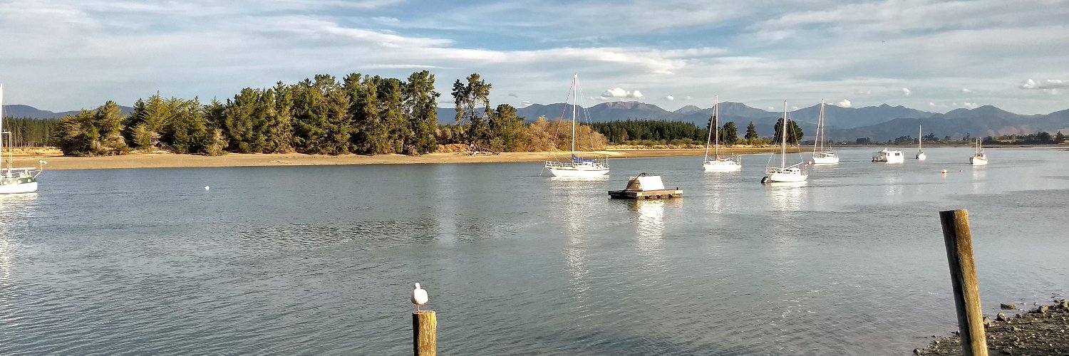 Penny Analytis banner