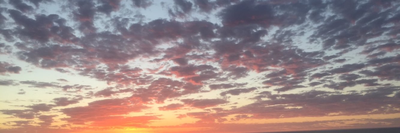 shelleylaverty's profile banner image
