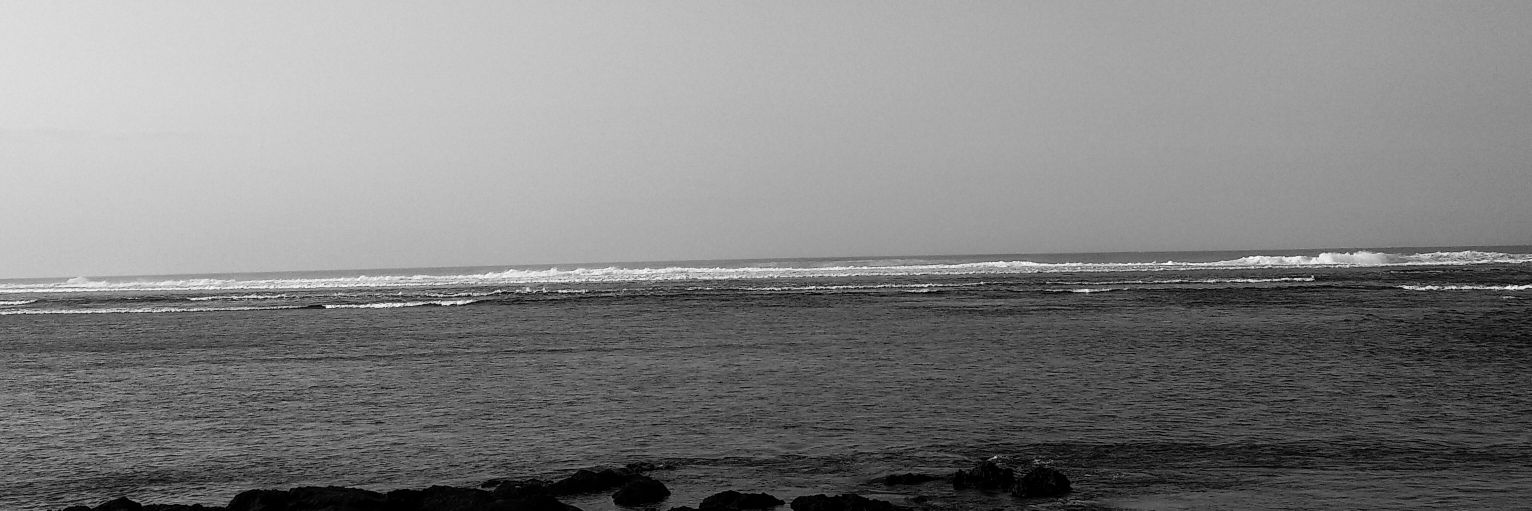 ᮒᮒᮀ ᮘᮥᮓᮤᮙᮔ᮪ banner