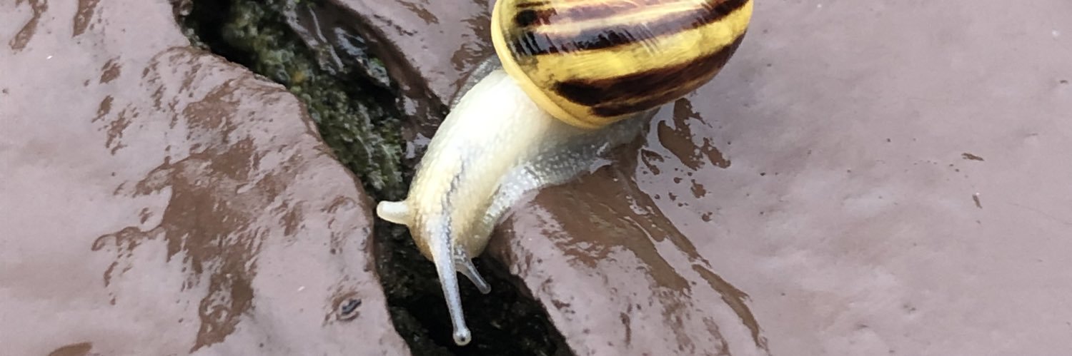 SeanGall95's profile banner image