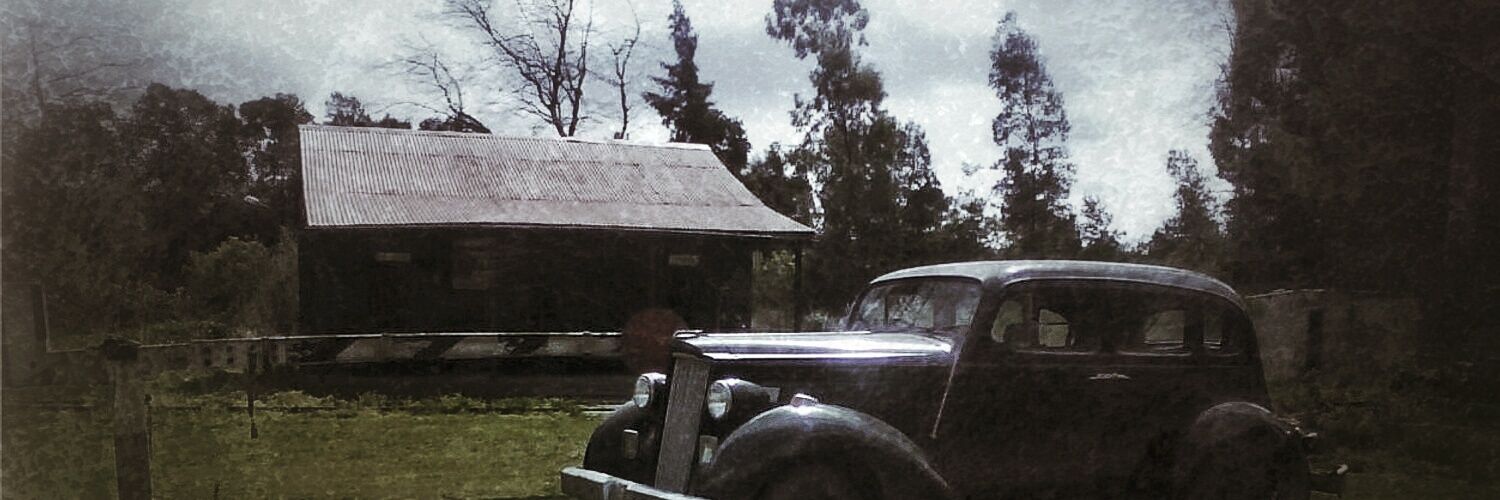 ovejuy's profile banner image