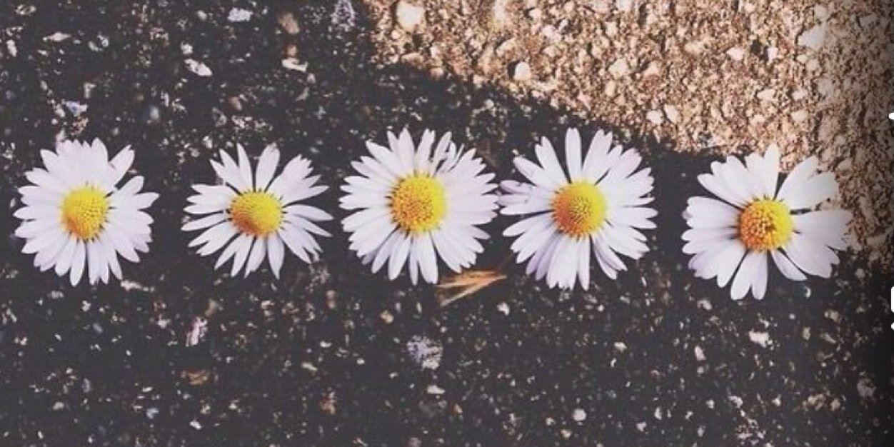 smariem92's profile banner image